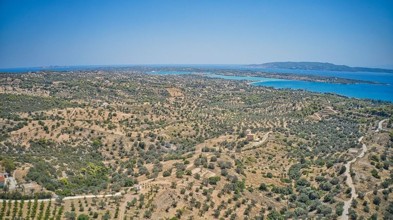 Αγροτεμάχια 6.837 τ.μ. για πώληση, Αργολίδα, Κρανίδι