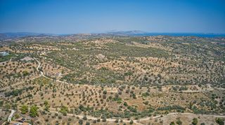 Αγροτεμάχια 6.837 τ.μ. για πώληση, Αργολίδα, Κρανίδι-thumb-9