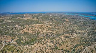 Αγροτεμάχια 6.837 τ.μ. για πώληση, Αργολίδα, Κρανίδι-thumb-18