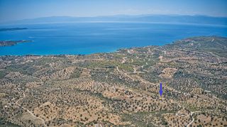 Αγροτεμάχια 6.837 τ.μ. για πώληση, Αργολίδα, Κρανίδι-thumb-3