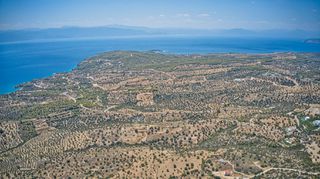 Αγροτεμάχια 6.837 τ.μ. για πώληση, Αργολίδα, Κρανίδι-thumb-7