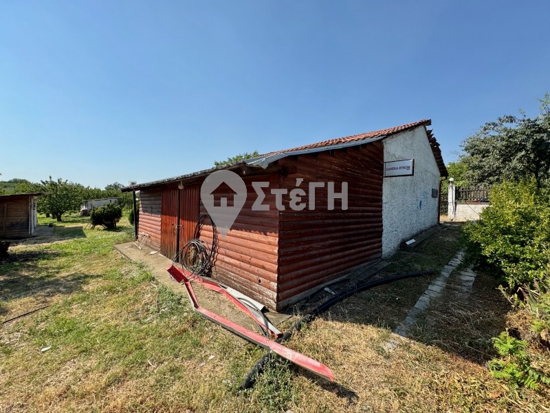 Αγροτεμάχια 7.050 τ.μ. πρός πώληση, Ημαθία, Νάουσα
