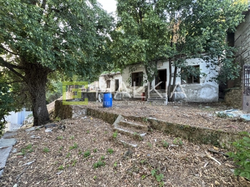 Οικόπεδο 968 τ.μ. προς πώληση, Βυζίτσα