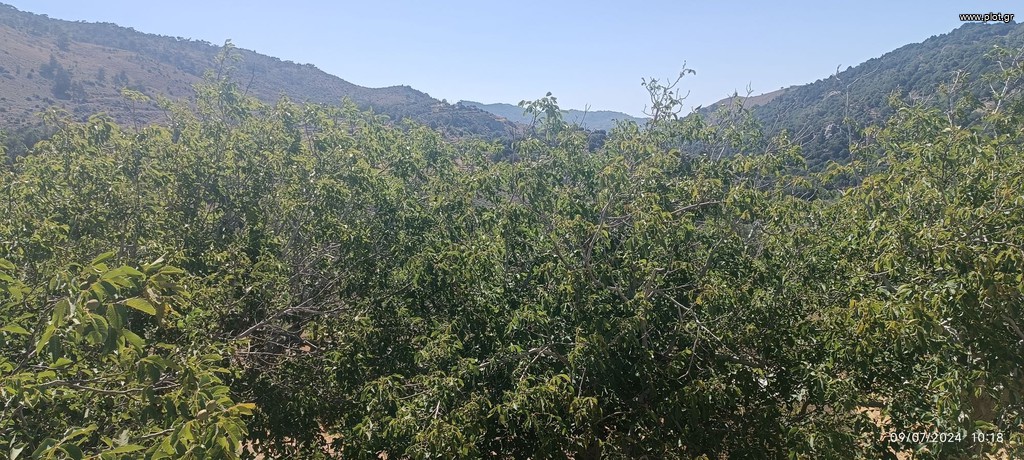 Μονοκατοικία 80 τ.μ. πρός πώληση, Ν. Λασιθίου, Ιεράπετρα