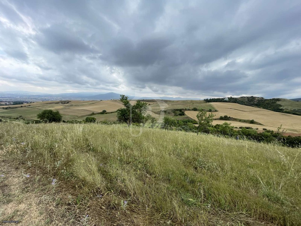 Αγροτεμάχια 11.300 τ.μ. προς ενοικίαση, Θεσσαλονίκη - Περιφ/Κοί Δήμοι, Θέρμη