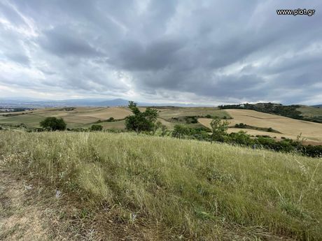 Αγροτεμάχια 11.300 τ.μ. πρός ενοικίαση