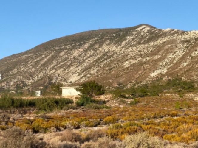 Αγροτεμάχια 24.193 τ.μ. προς πώληση, Μονή Χρυσοσκαλιτίσσης