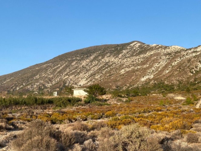 Αγροτεμάχια 24.193 τ.μ. προς πώληση, Μονή Χρυσοσκαλιτίσσης
