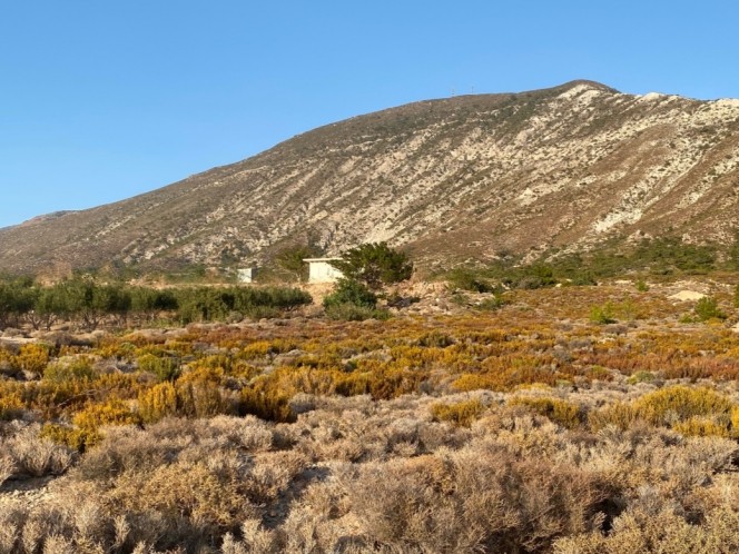 Αγροτεμάχια 24.193 τ.μ. προς πώληση, Μονή Χρυσοσκαλιτίσσης