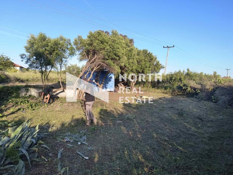 Αγροτεμάχια 5.674 τ.μ. προς πώληση, Νέα Ποτίδαια