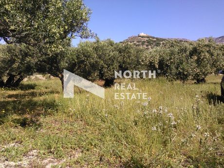Αγροτεμάχια 2.943 τ.μ. για πώληση