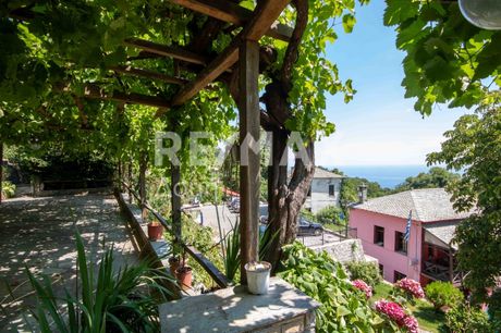 Building 200sqm for sale-Mouresi » Tsagkarada