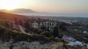 Οικόπεδο 1.482τ.μ. για πώληση-Μυθήμνη » Δραπανιάς