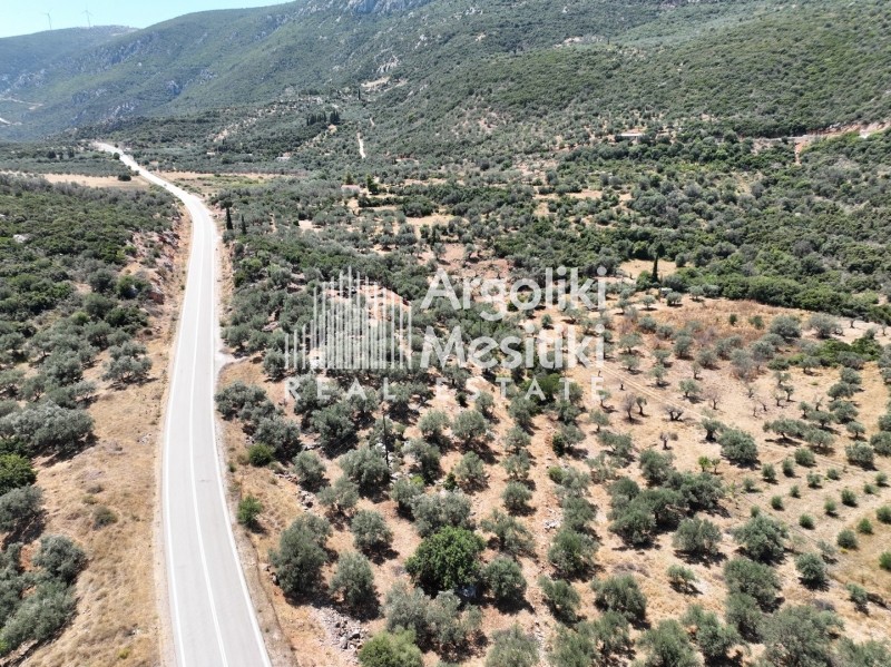 Αγροτεμάχια 9.207 τ.μ. πρός πώληση, Νησιά Αργοσαρωνικού, Τροιζήνα