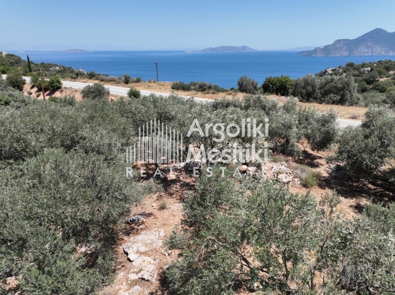 Αγροτεμάχια 9.207 τ.μ. πρός πώληση, Νησιά Αργοσαρωνικού, Τροιζήνα