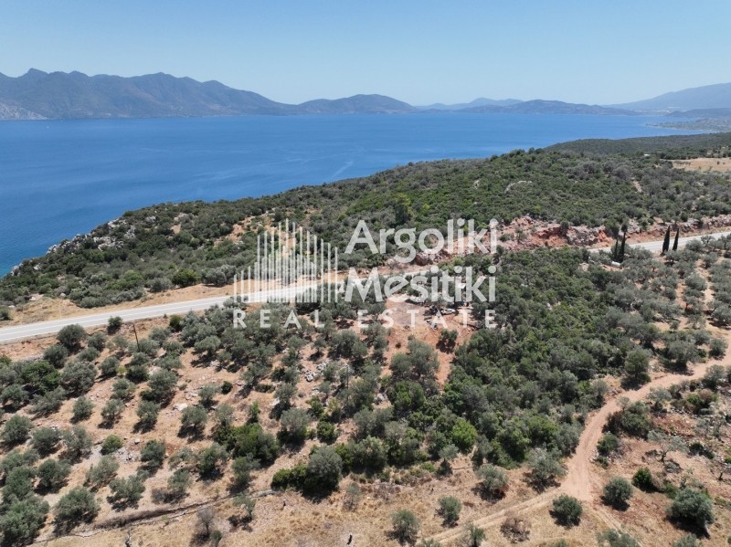 Αγροτεμάχια 9.207 τ.μ. πρός πώληση, Νησιά Αργοσαρωνικού, Τροιζήνα