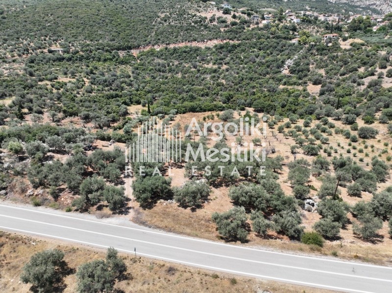 Αγροτεμάχια 9.207 τ.μ. πρός πώληση, Νησιά Αργοσαρωνικού, Τροιζήνα