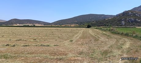 Αγροτεμάχια 34.000 τ.μ. για πώληση