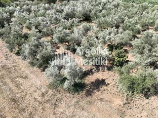 Αγροτεμάχια 6.872 τ.μ. για πώληση, Αργολίδα, Ναύπλιο-thumb-11