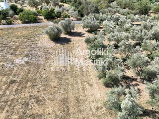 Αγροτεμάχια 6.872 τ.μ. για πώληση, Αργολίδα, Ναύπλιο-thumb-12