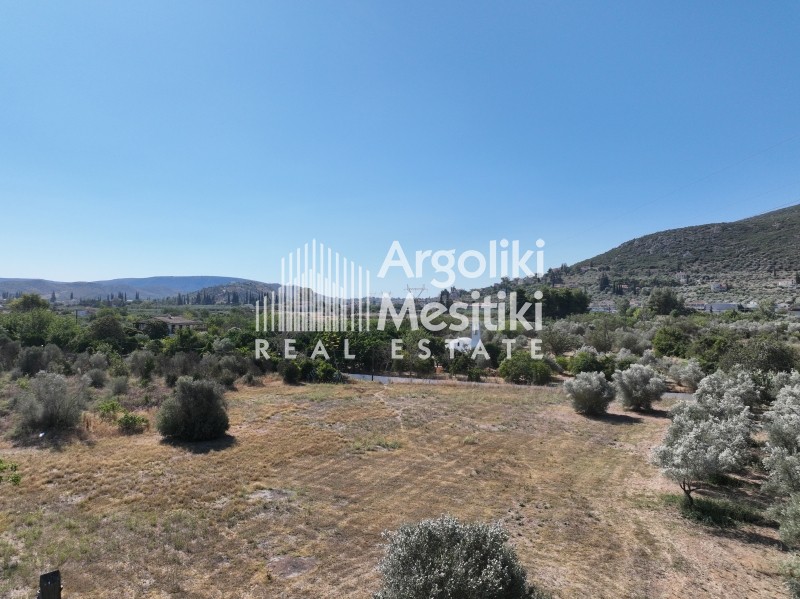 Αγροτεμάχια 6.872 τ.μ. για πώληση, Αργολίδα, Ναύπλιο