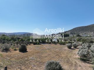 Αγροτεμάχια 6.872 τ.μ. για πώληση