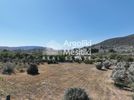 Parcel 6.872sqm for sale-Nafplio » Aria