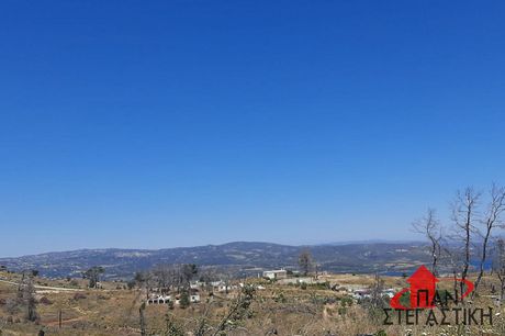 Αγροτεμάχια 657 τ.μ. πρός πώληση