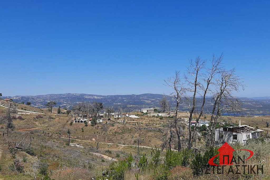 Αγροτεμάχια 657 τ.μ. πρός πώληση, Αττική - Υπόλοιπο, Αφίδνες