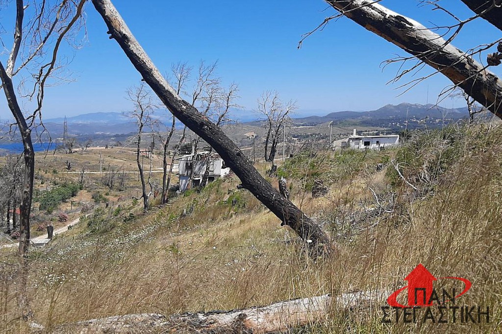 Αγροτεμάχια 657 τ.μ. πρός πώληση, Αττική - Υπόλοιπο, Αφίδνες