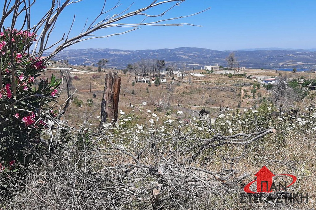 Αγροτεμάχια 657 τ.μ. πρός πώληση, Αττική - Υπόλοιπο, Αφίδνες