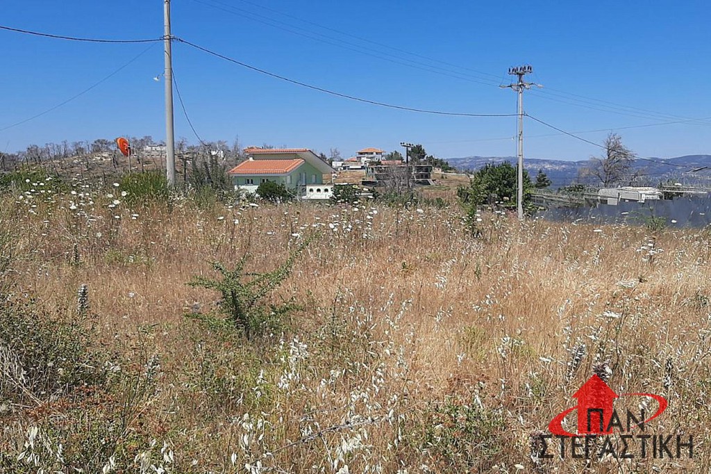 Αγροτεμάχια 570 τ.μ. πρός πώληση, Αττική - Υπόλοιπο, Αφίδνες