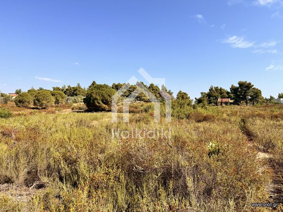 Αγροτεμάχια 12.300 τ.μ. για πώληση, Χαλκιδική, Σιθωνία