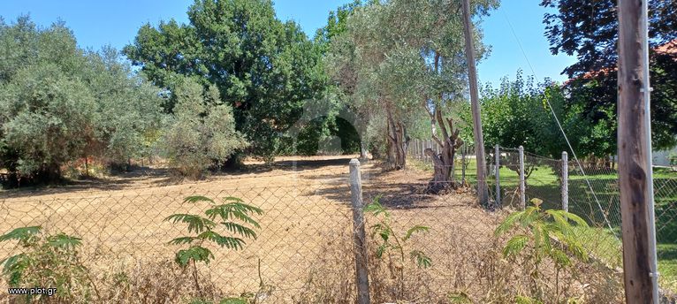 Αγροτεμάχια 1.000 τ.μ. για πώληση, Ν. Πιερίας, Λιτόχωρο
