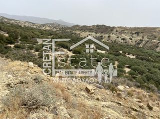 Αγροτεμάχια 5.500 τ.μ. προς πώληση, Γδόχια-thumb-8