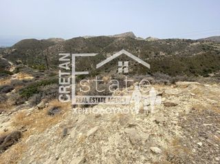 Αγροτεμάχια 5.500 τ.μ. προς πώληση, Γδόχια-thumb-2