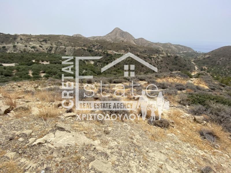 Αγροτεμάχια 5.500 τ.μ. πρός πώληση, Ν. Λασιθίου, Ιεράπετρα