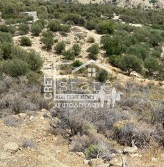 Αγροτεμάχια 5.500 τ.μ. προς πώληση, Γδόχια-thumb-9