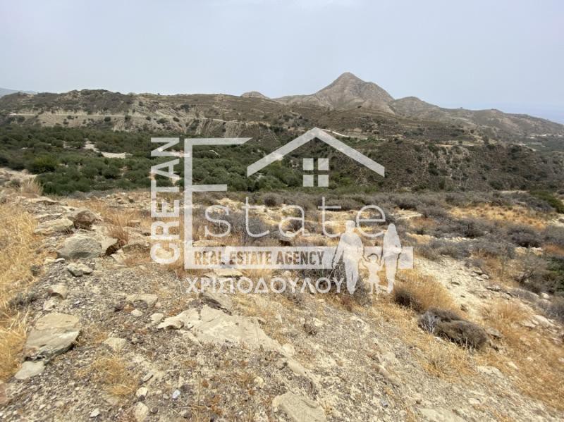 Αγροτεμάχια 5.500 τ.μ. πρός πώληση, Ν. Λασιθίου, Ιεράπετρα