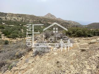 Αγροτεμάχια 5.500 τ.μ. προς πώληση, Γδόχια-thumb-12