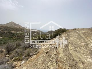 Αγροτεμάχια 5.500 τ.μ. για πώληση