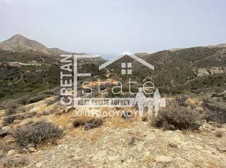 Αγροτεμάχια 5.500 τ.μ. προς πώληση, Γδόχια-thumb-1