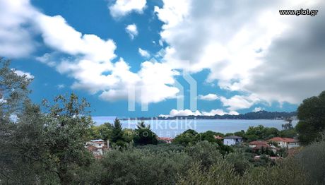 Αγροτεμάχια 8.200τ.μ. για πώληση-Σιθωνία » Παρθενώνας