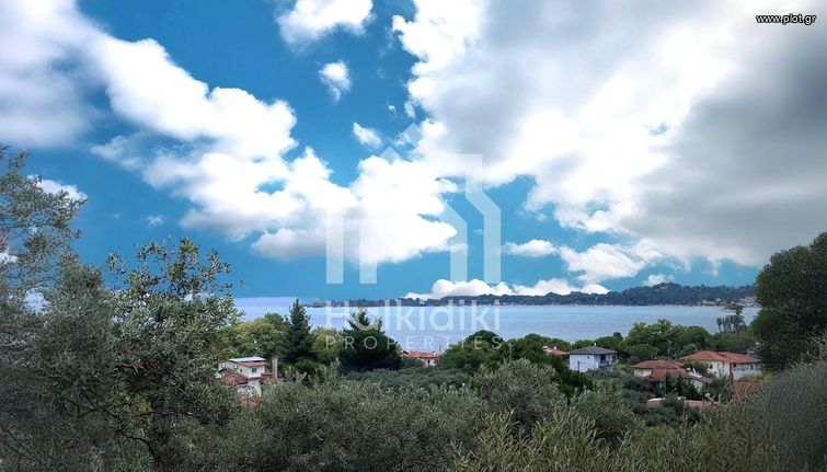 Αγροτεμάχια 8.200 τ.μ. για πώληση, Χαλκιδική, Σιθωνία