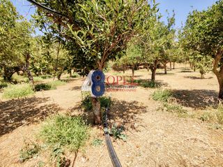 Οικόπεδο 2.257 τ.μ. για πώληση, Ν. Χίου, Χίος-thumb-21