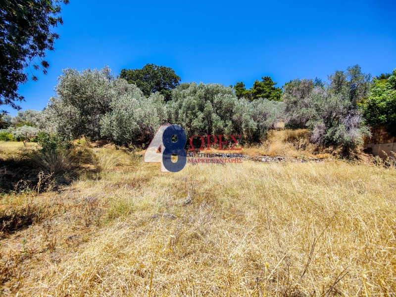 Οικόπεδο 2.257 τ.μ. πρός πώληση, Ν. Χίου, Χίος