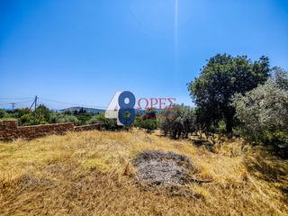 Οικόπεδο 2.257 τ.μ. για πώληση, Ν. Χίου, Χίος-thumb-5