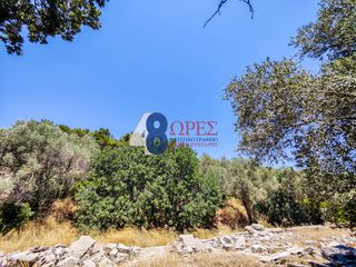 Οικόπεδο 2.257 τ.μ. για πώληση, Ν. Χίου, Χίος-thumb-7