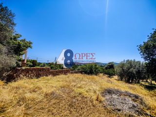 Οικόπεδο 2.257 τ.μ. για πώληση, Ν. Χίου, Χίος-thumb-6