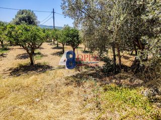Οικόπεδο 2.257 τ.μ. για πώληση, Ν. Χίου, Χίος-thumb-3